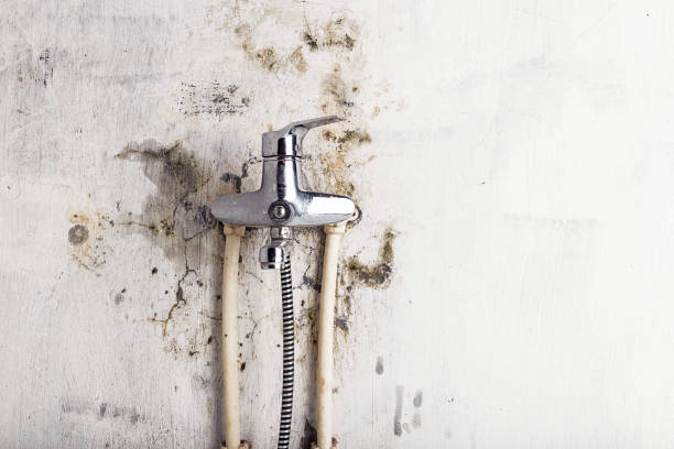 Dubuque, IA Mold Removal Company