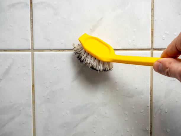 Best Mold Removal Near Me  in Dubuque, IA