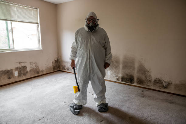 Best Emergency Mold Removal  in Dubuque, IA